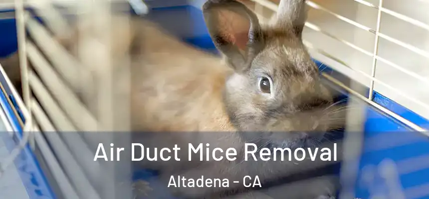 Air Duct Mice Removal Altadena - CA
