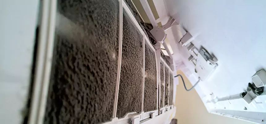 Preventive Air Duct Bacteria Removal in Altadena