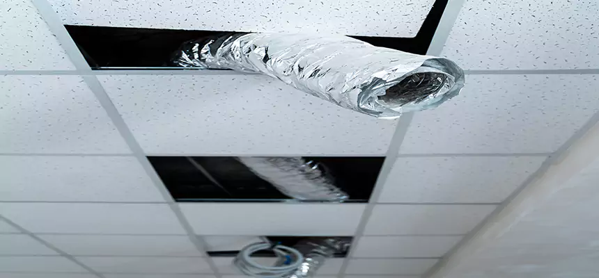 Affordable HVAC Sanitizing After Pest Removal in Altadena