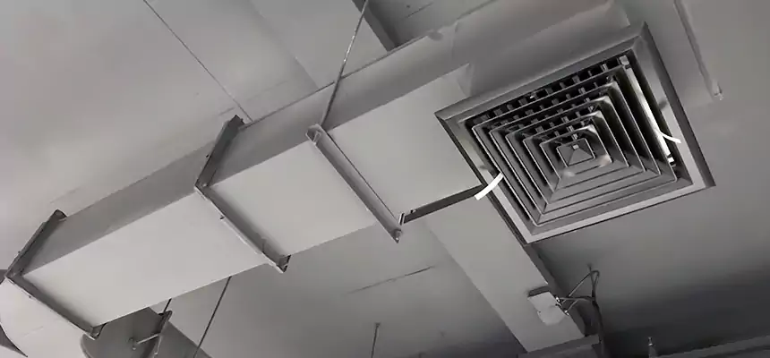 Restorative Allergy Relief Vent Cleaning – Coil, Blower & Housing Detail in Altadena