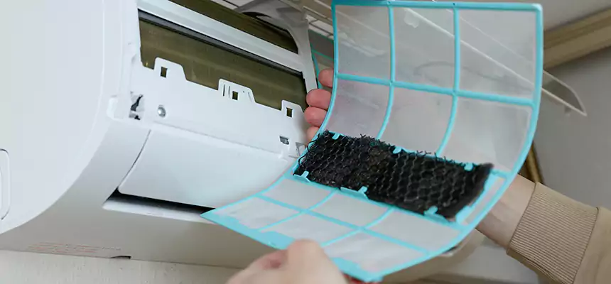 Gentle Ductwork Odor-Control Pet Dander Duct Cleaning in Altadena, CA