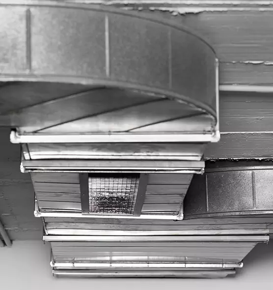 Professional Air Duct Pet Hair Removal in Altadena, CA