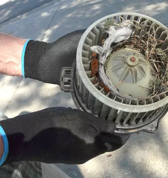 About Air Duct Rat Removal in Altadena, CA