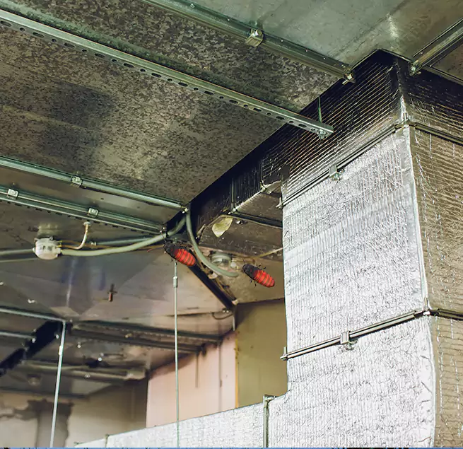 Why Homeowners & Businesses Trust Us in Altadena, CA?