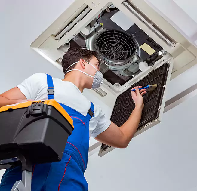 Why Homeowners & Businesses Trust Us in Altadena, CA