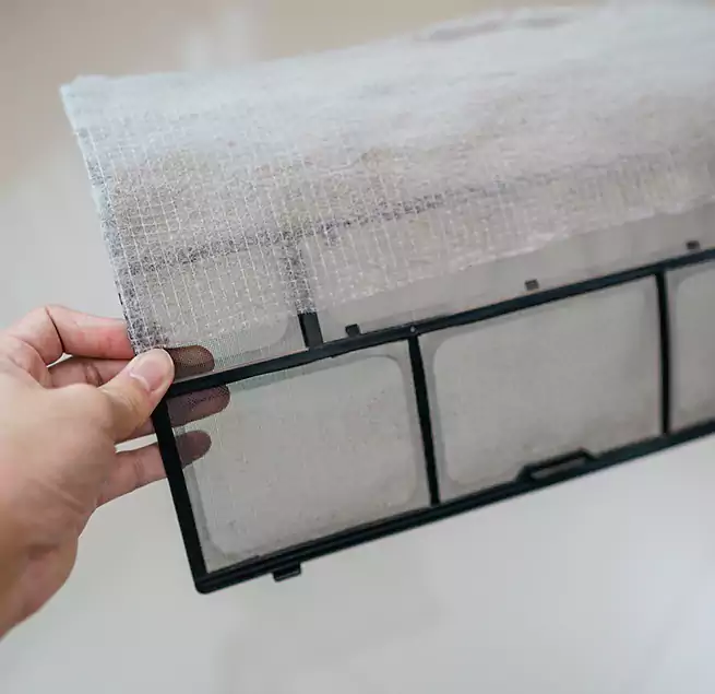 Why Homeowners & Businesses Trust Us in Altadena, CA?