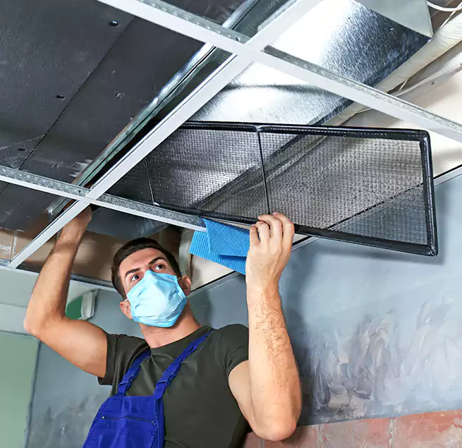 Why Homeowners Businesses Trust Us in Altadena, CA